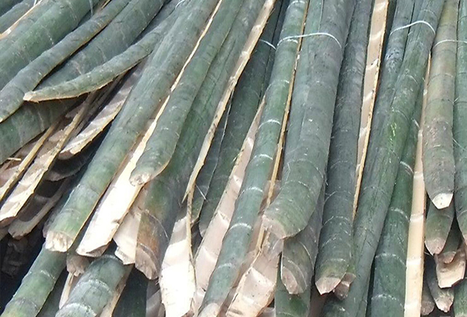 Ningguo Kuntai Bambu dan Kayu Co, Ltd.