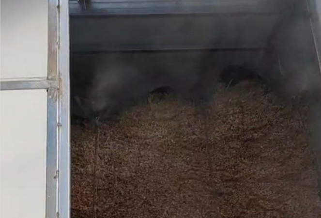 Ningguo Kuntai Bambu dan Kayu Co, Ltd.