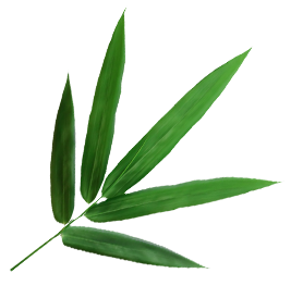 Ningguo Kuntai Bambu dan Kayu Co, Ltd.